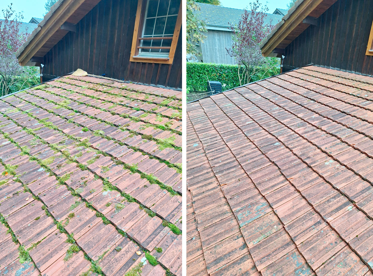 Entretien après pirinoli